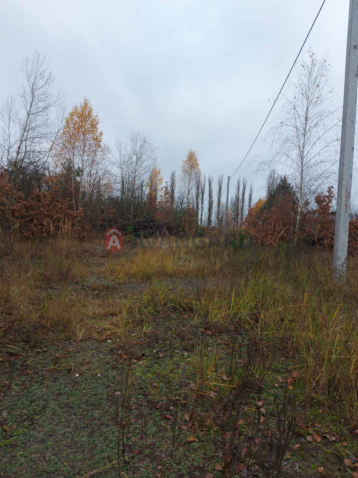 �������� ������ ���� 3