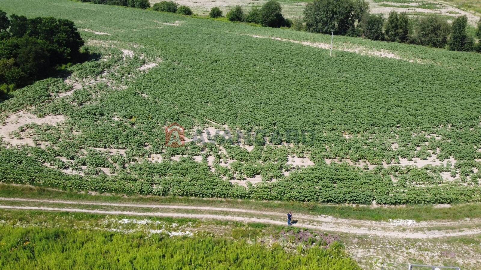 ��������� ������� ���� 2