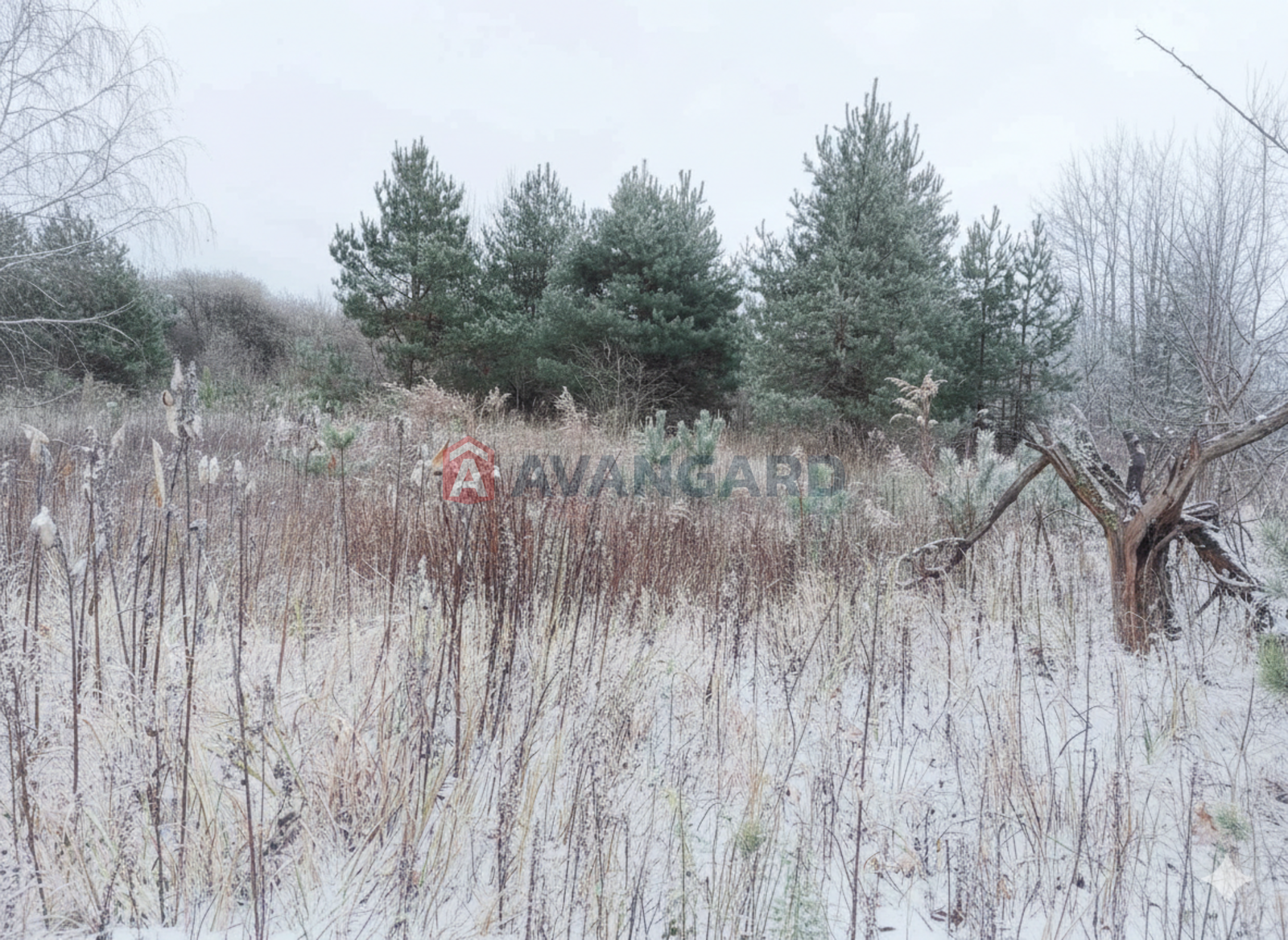 �������� ������ ���� 10