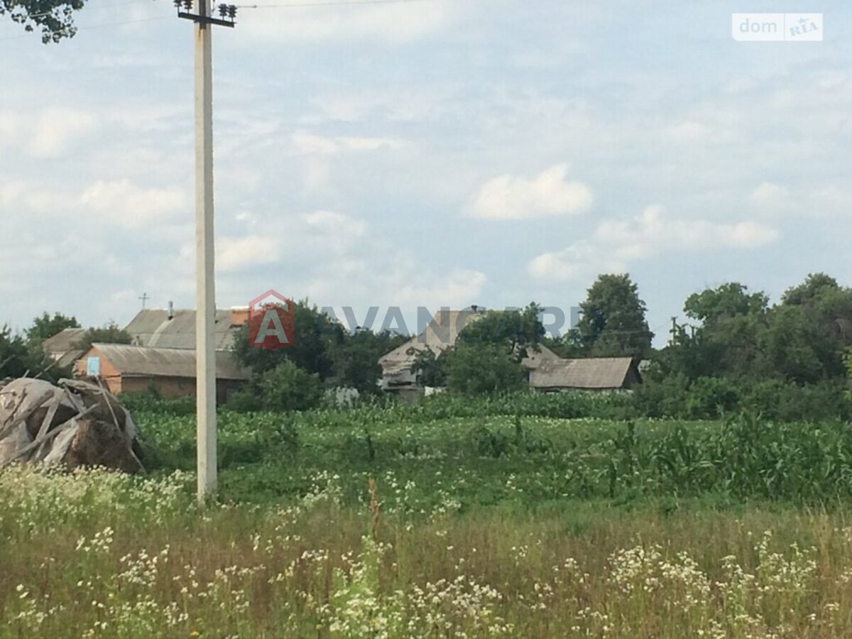 �������� ������ ���� 4