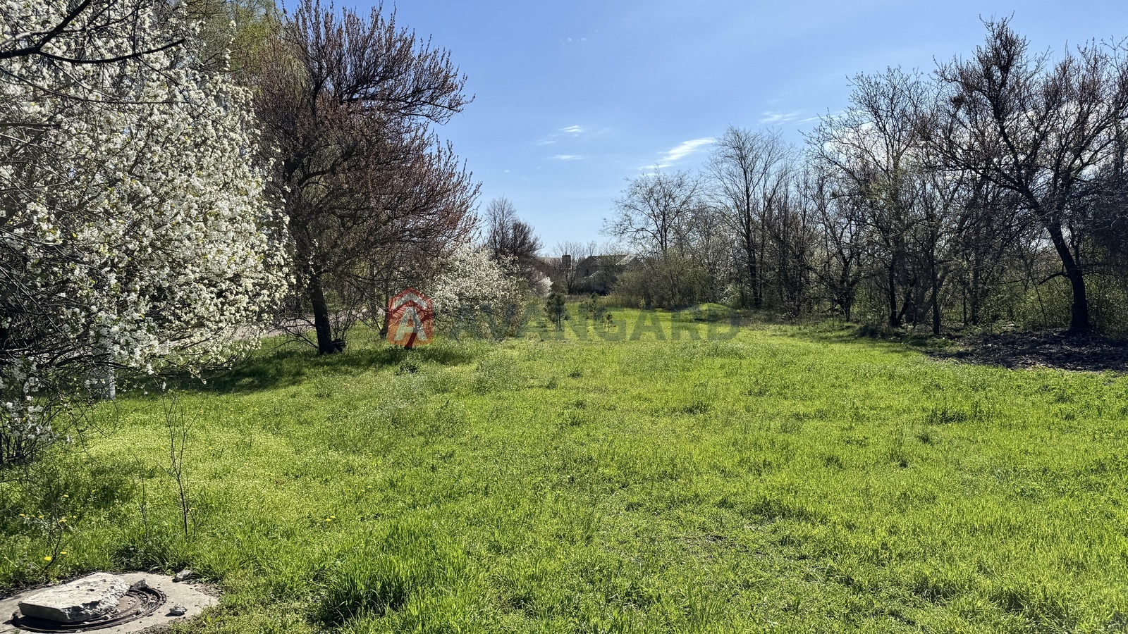 �������� ������ ���� 9