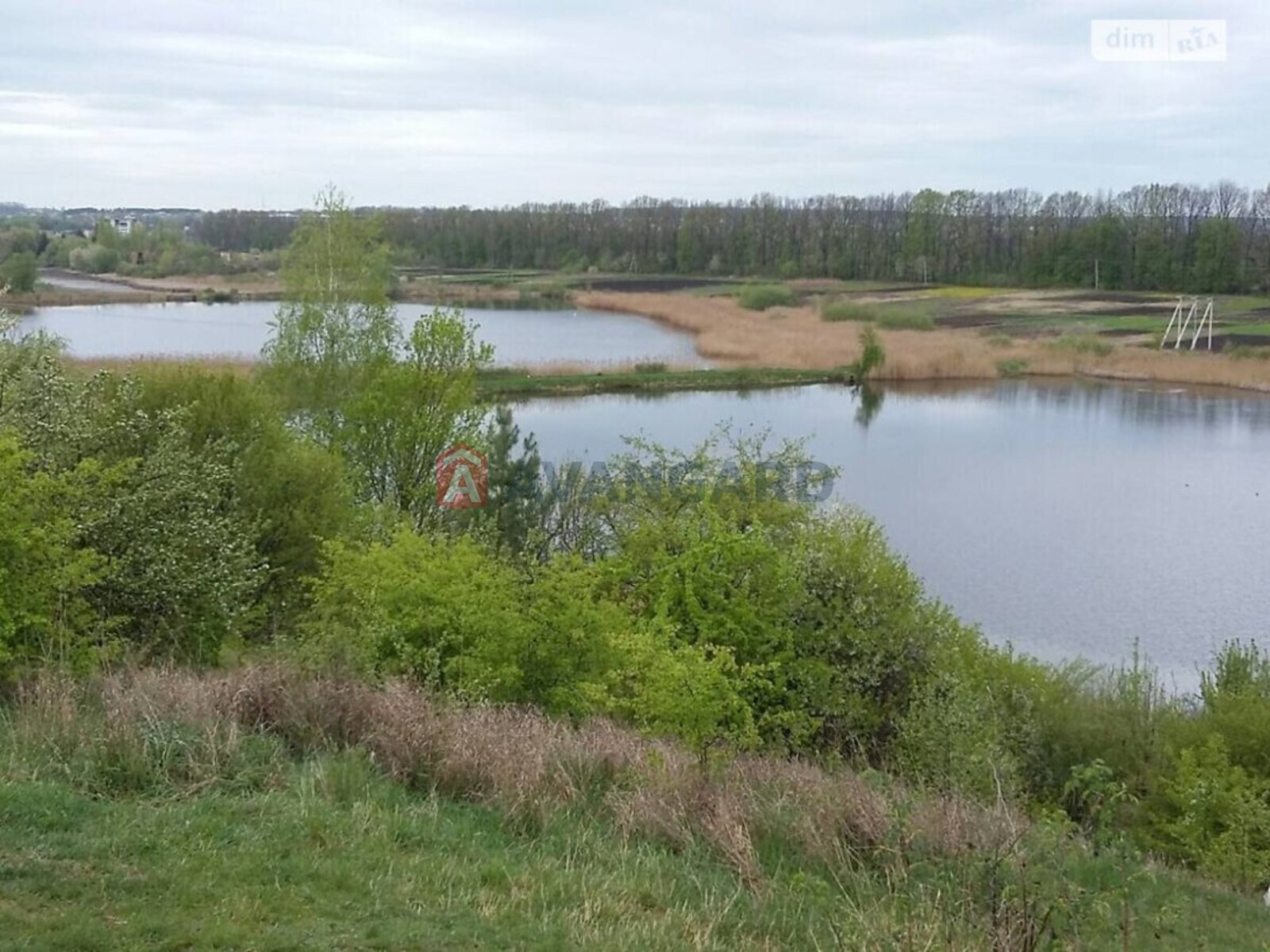 �������� ������ ���� 4