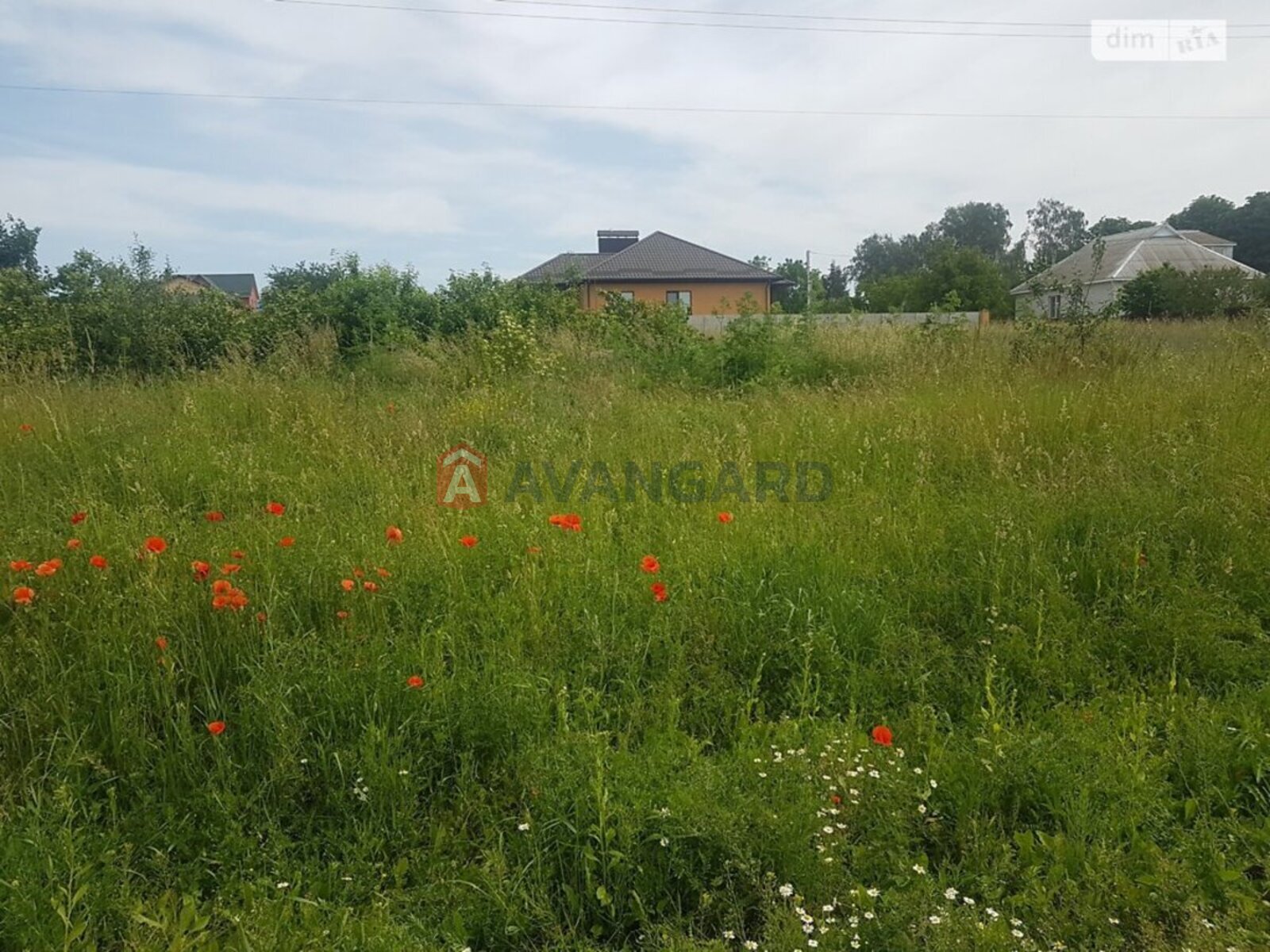 �������� ������ ���� 3