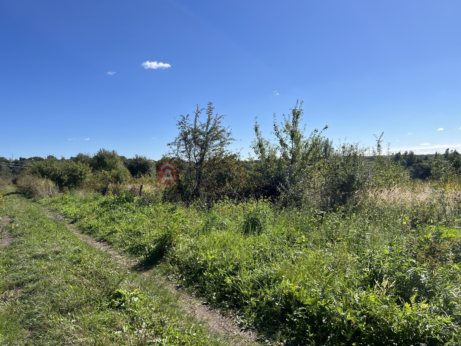 �������� ������ ���� 5