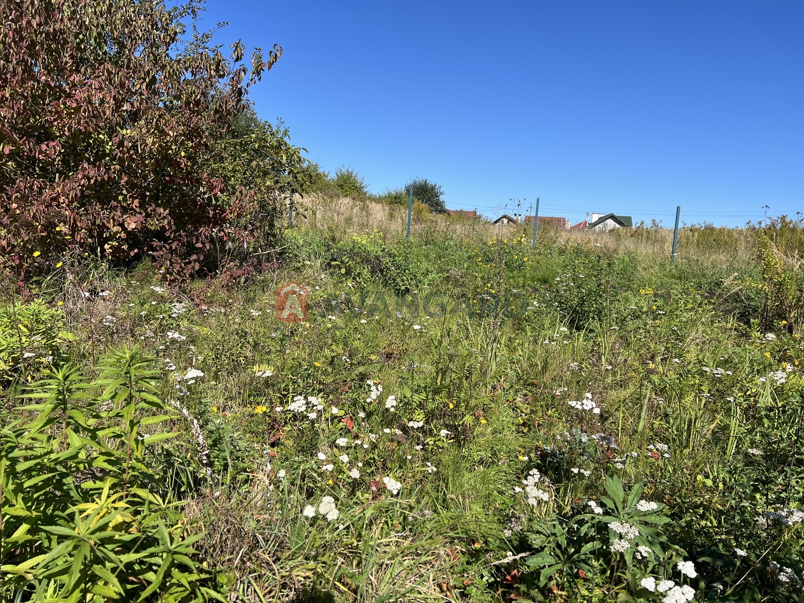 �������� ������ ���� 3