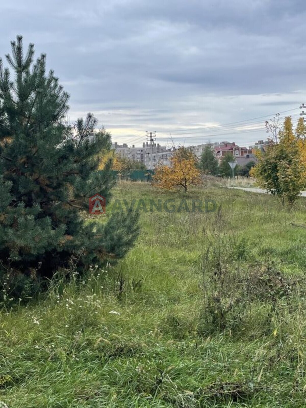 Земельна ділянка фото 2 Земельна ділянка фото 2