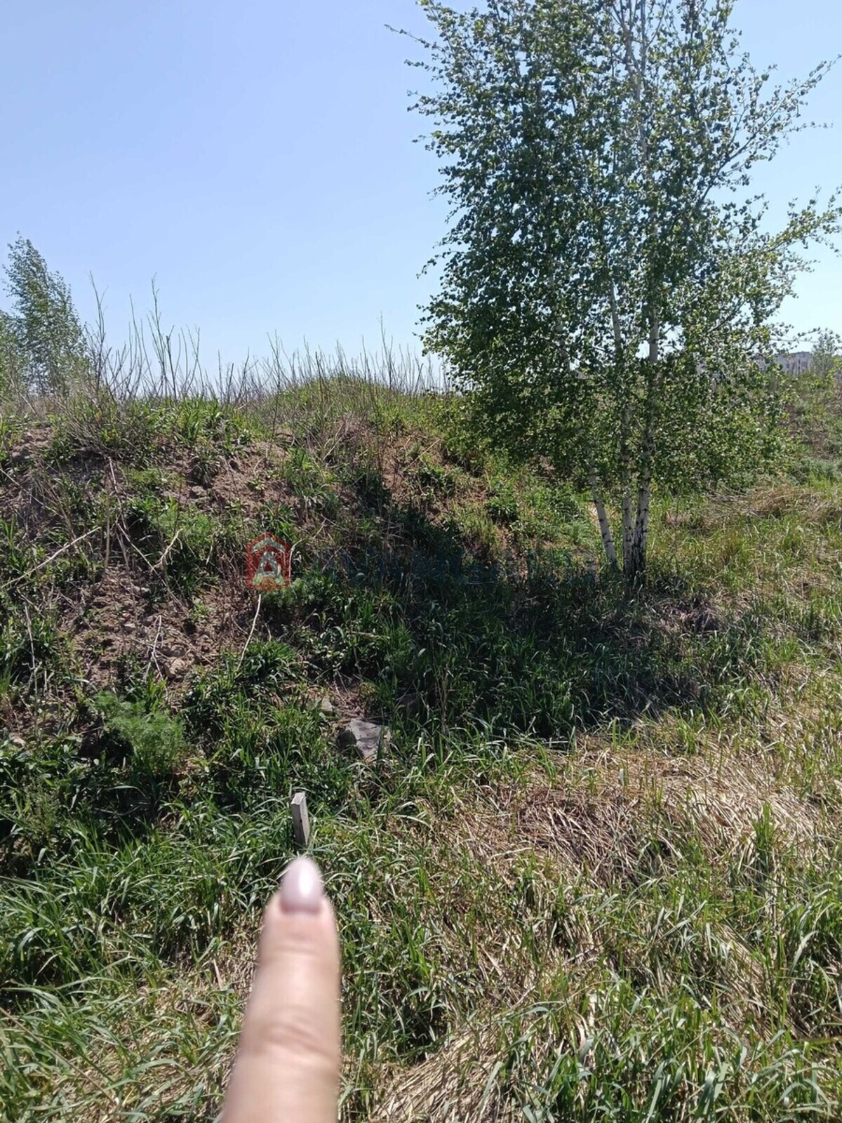 Земельна ділянка фото 4 Земельна ділянка фото 4