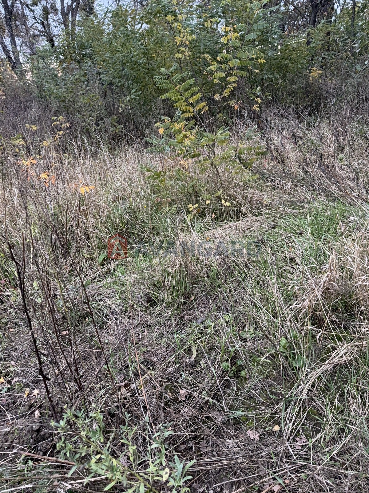 �������� ������ ���� 3