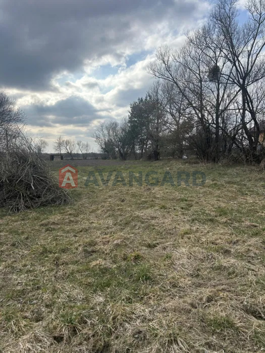 �������� ������ ���� 5