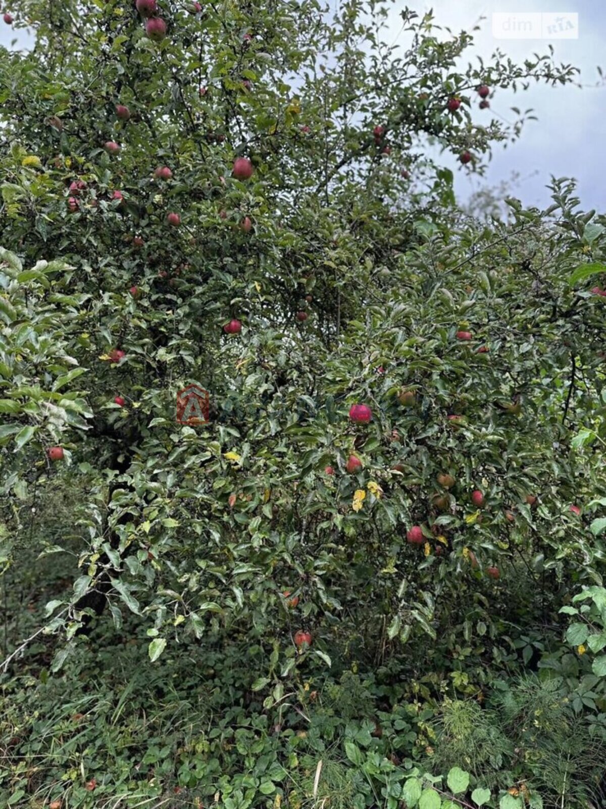 �������� ������ ���� 7