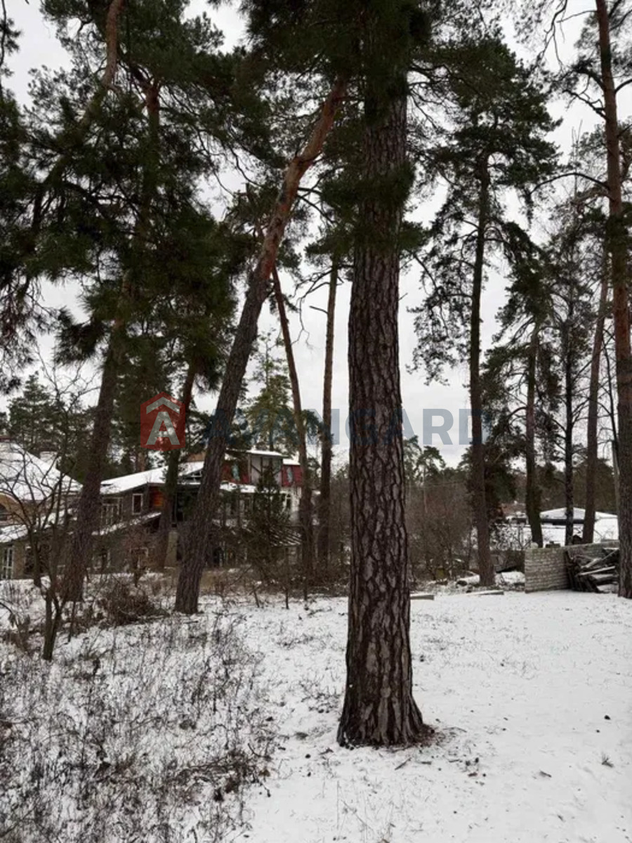 �������� ������ ���� 5