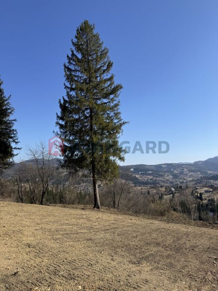 �������� ������ ���� 3