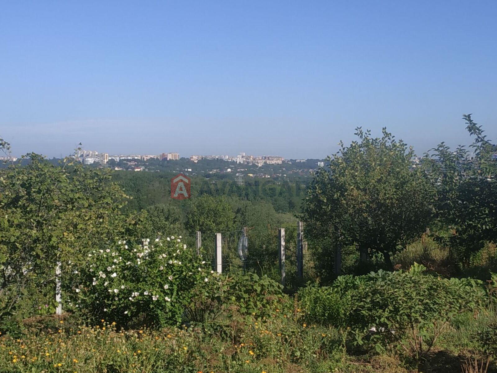 �������� ������ ���� 4