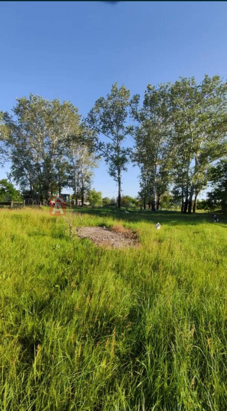 �������� ������ ���� 5