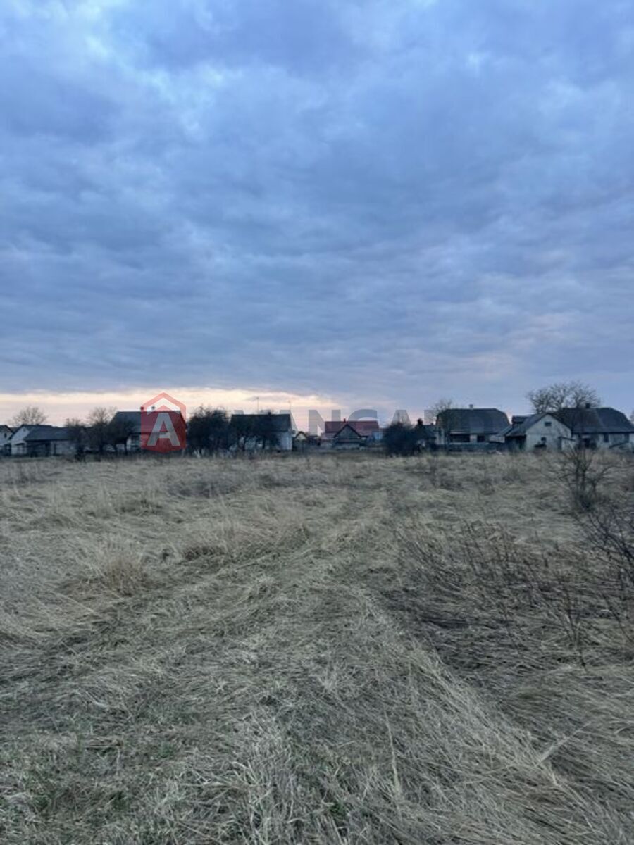 �������� ������ ���� 7