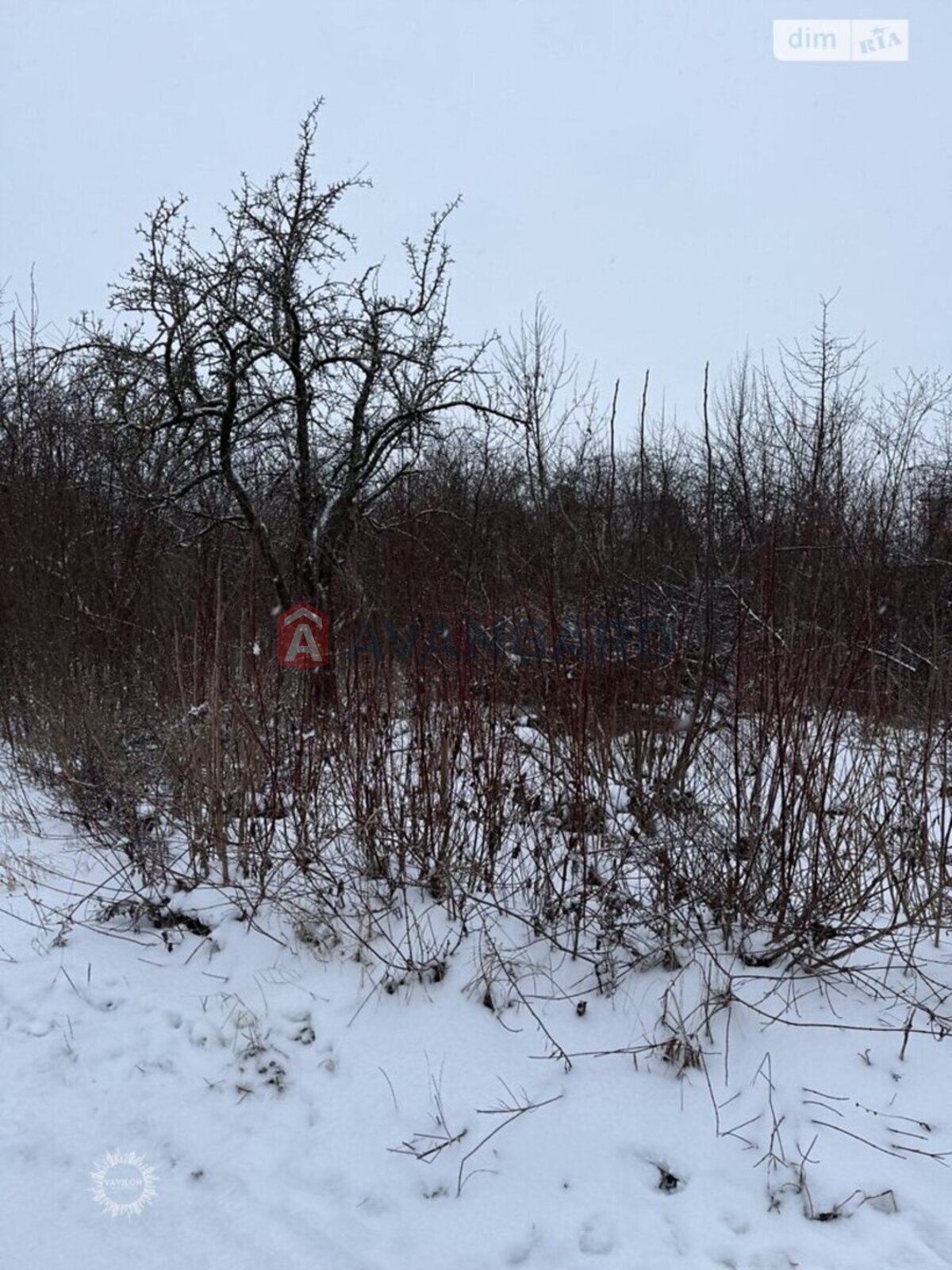 �������� ������ ���� 6