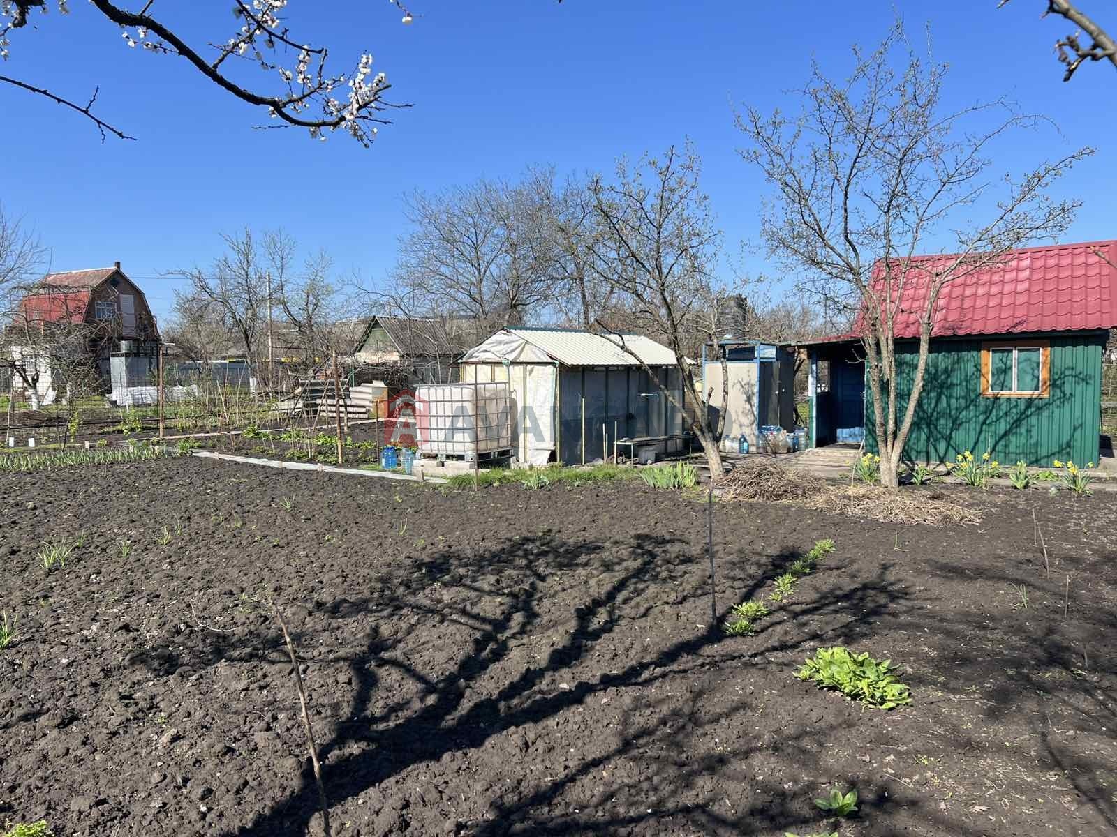 �������� ������ ���� 8