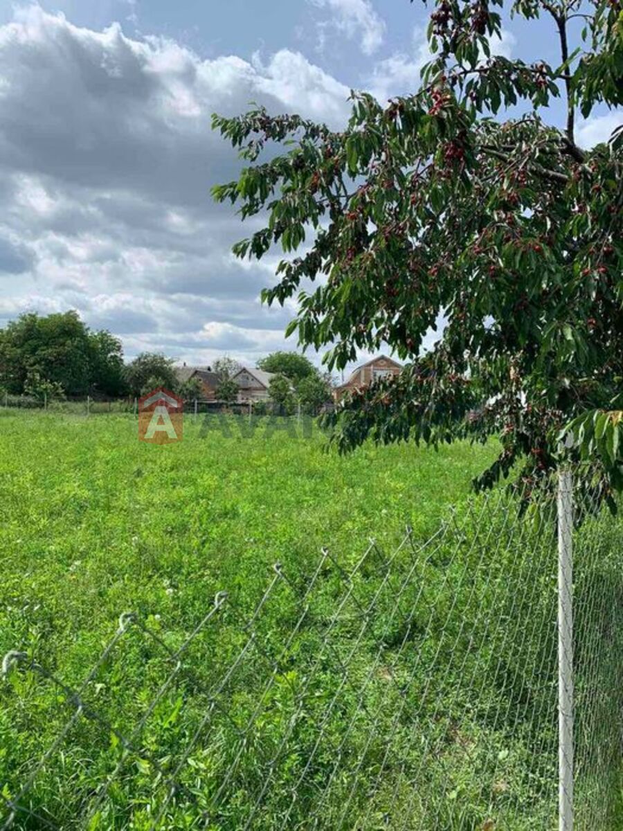 �������� ������ ���� 6