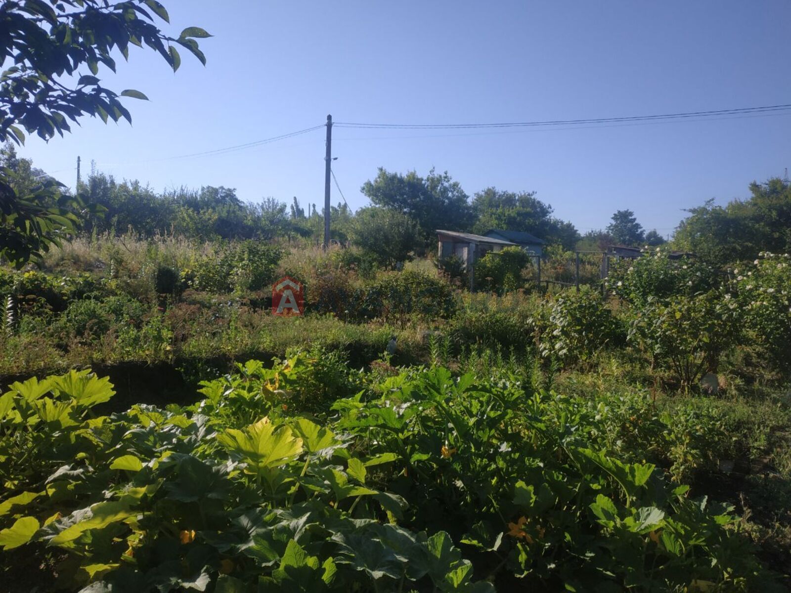 �������� ������ ���� 5