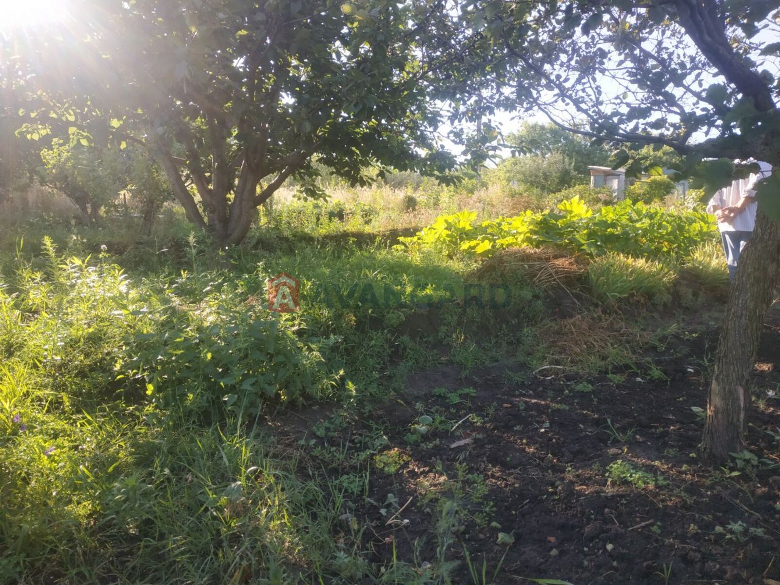 �������� ������ ���� 7