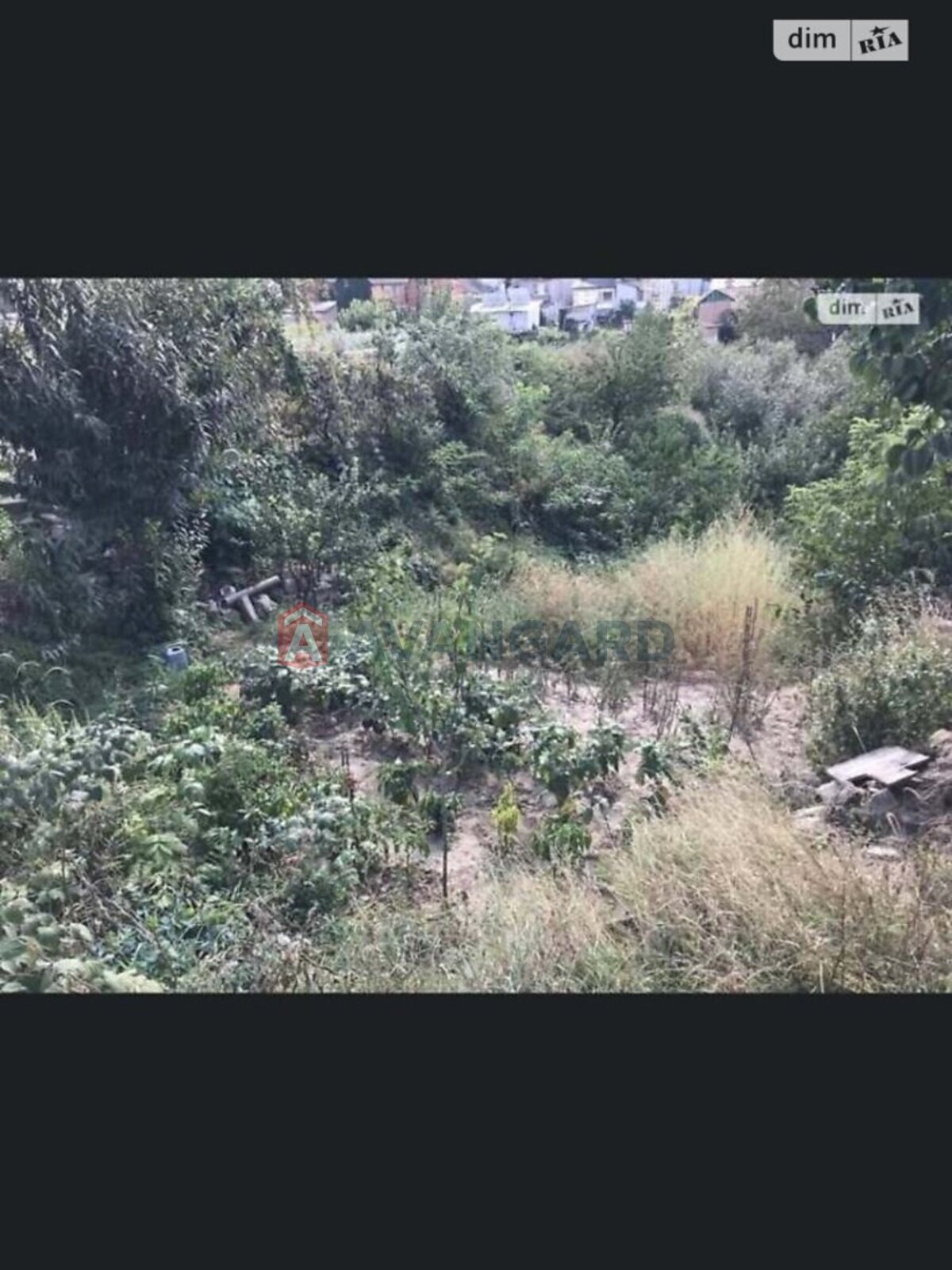 �������� ������ ���� 9