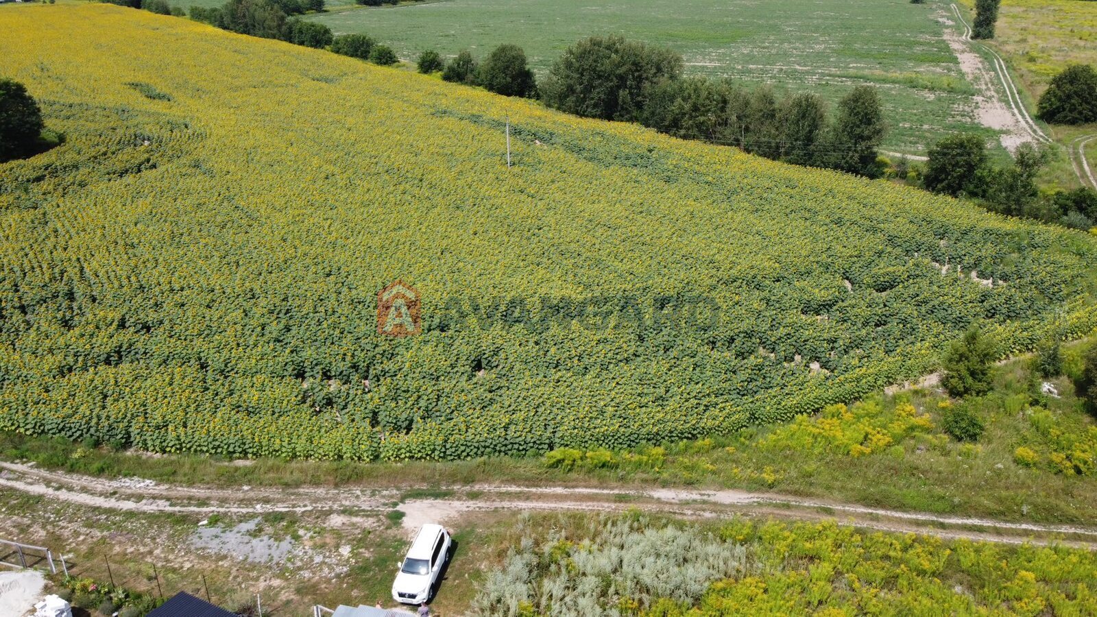 ��������� ������� ���� 1