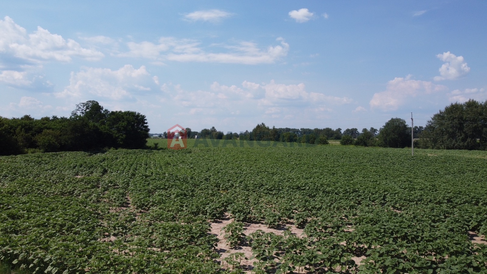 ��������� ������� ���� 4