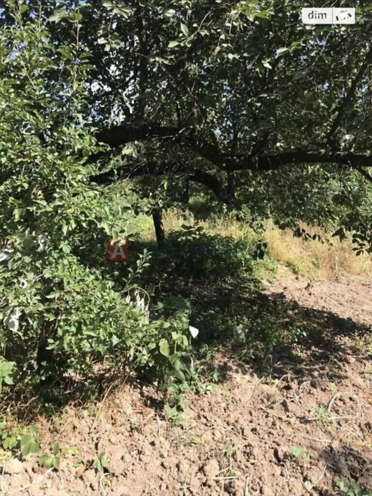 �������� ������ ���� 18