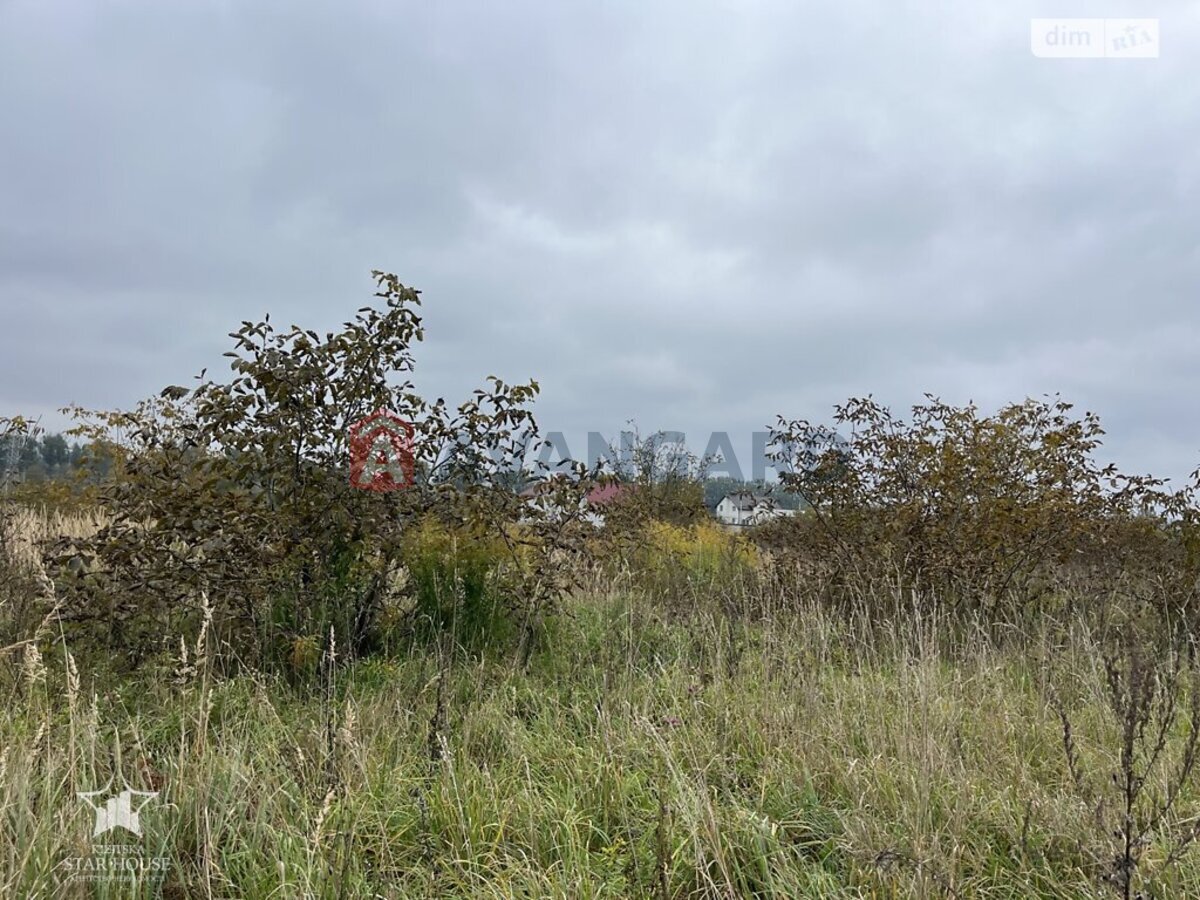 �������� ������ ���� 11