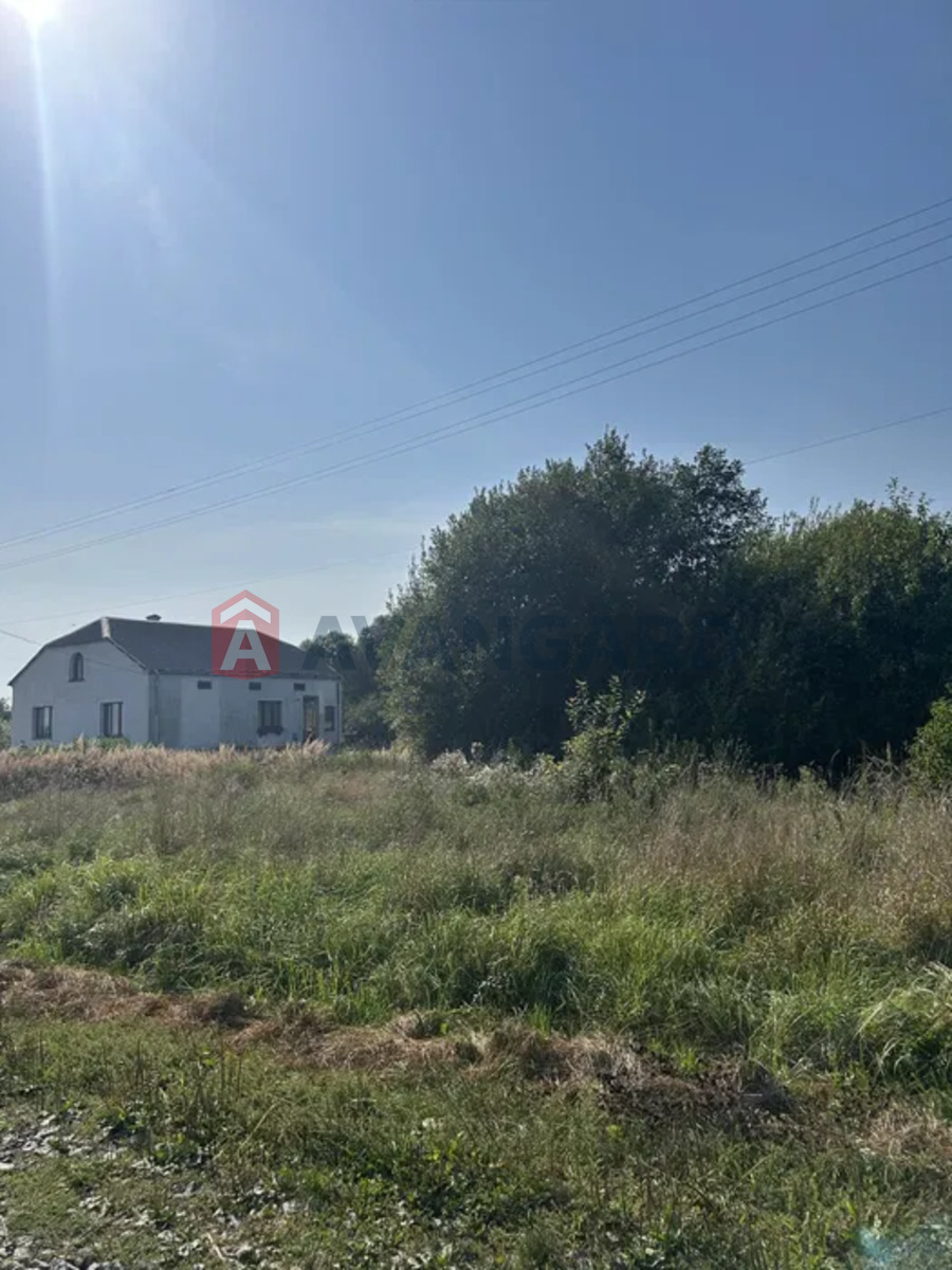 �������� ������ ���� 1