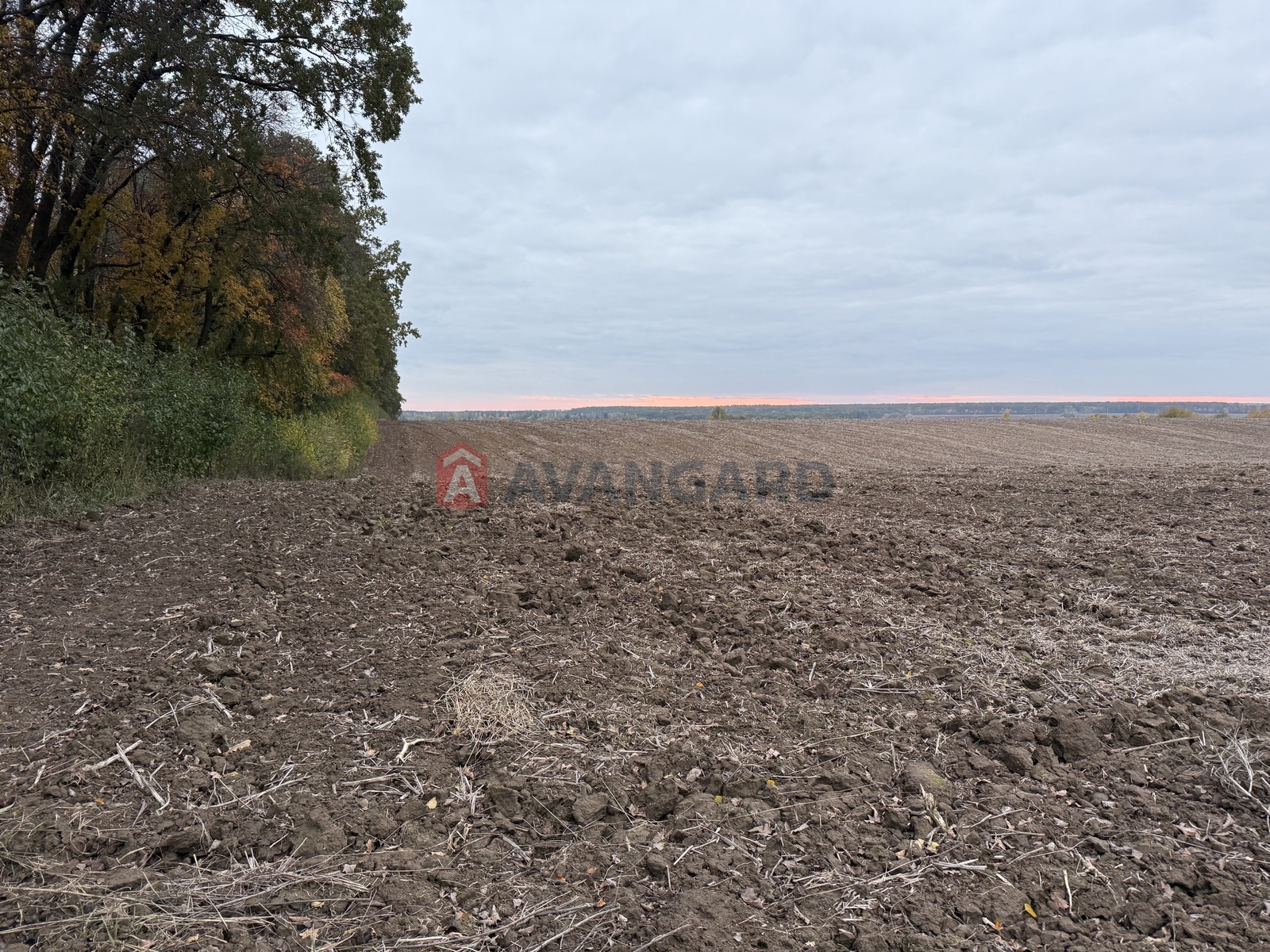 �������� ������ ���� 8