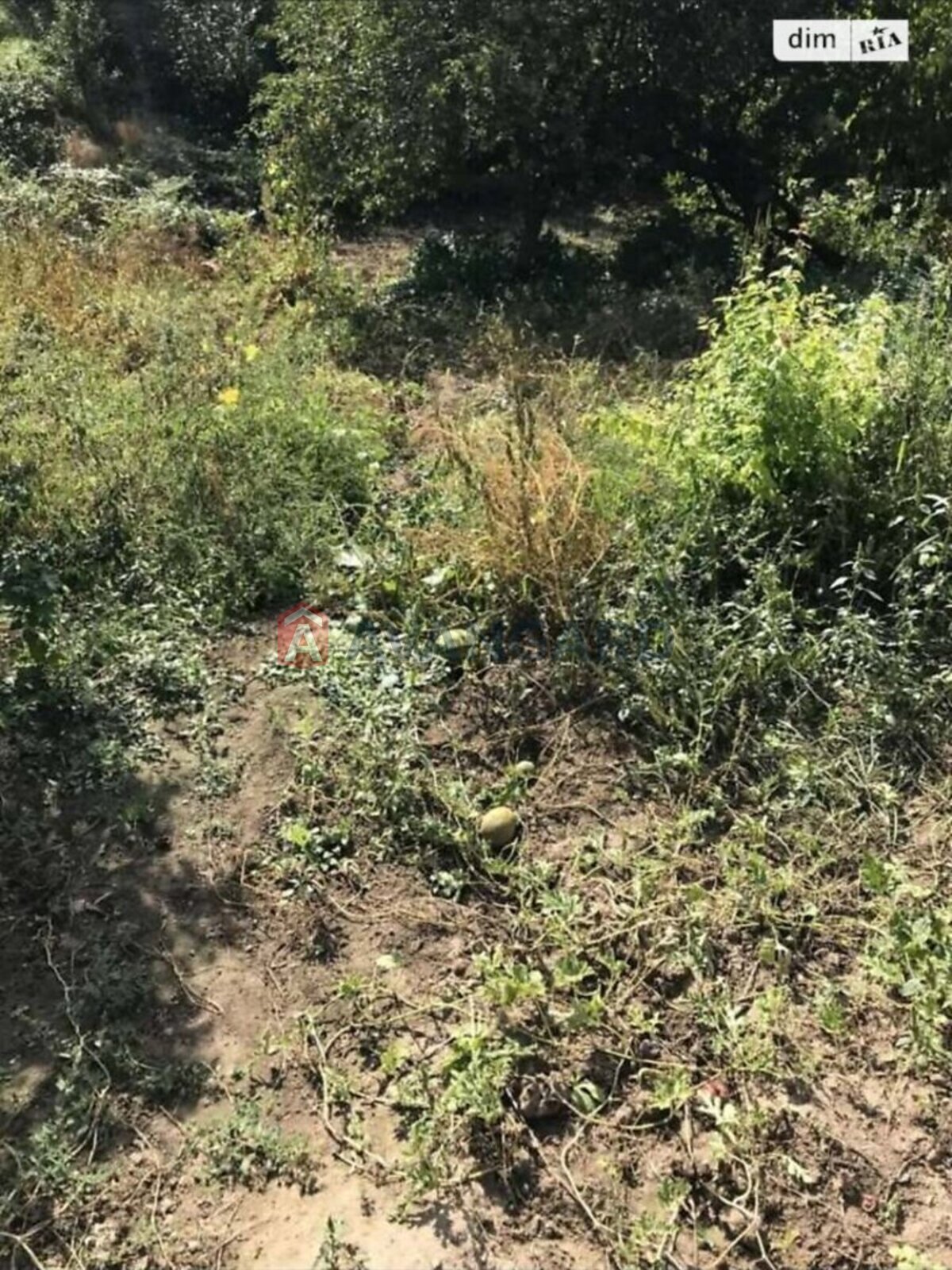 �������� ������ ���� 15