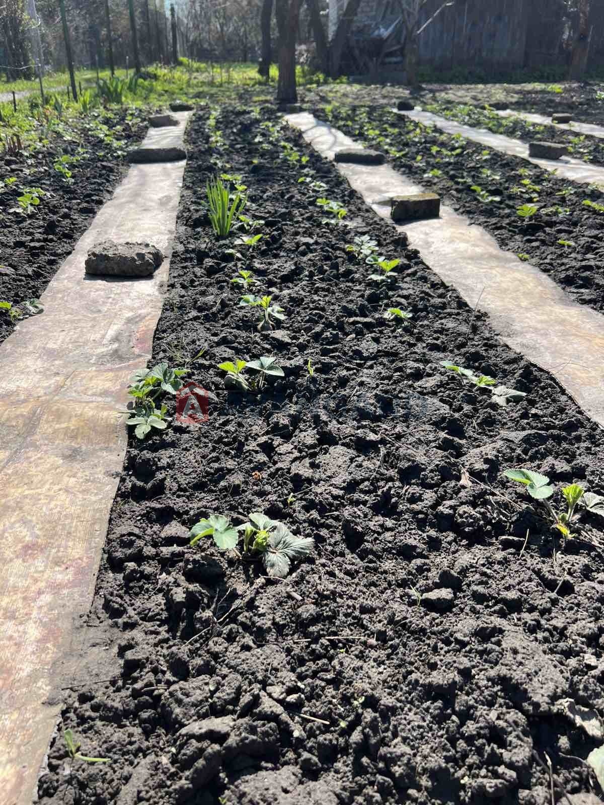 �������� ������ ���� 14