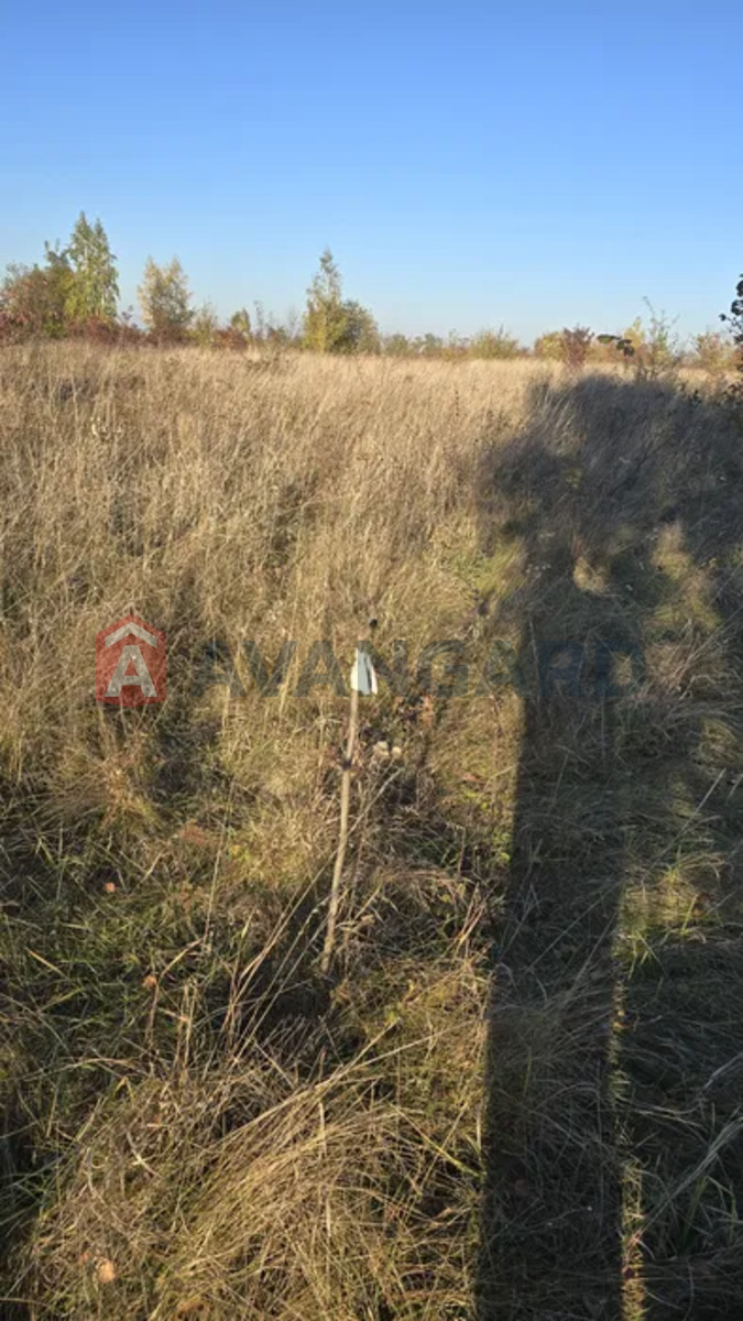 �������� ������ ���� 6