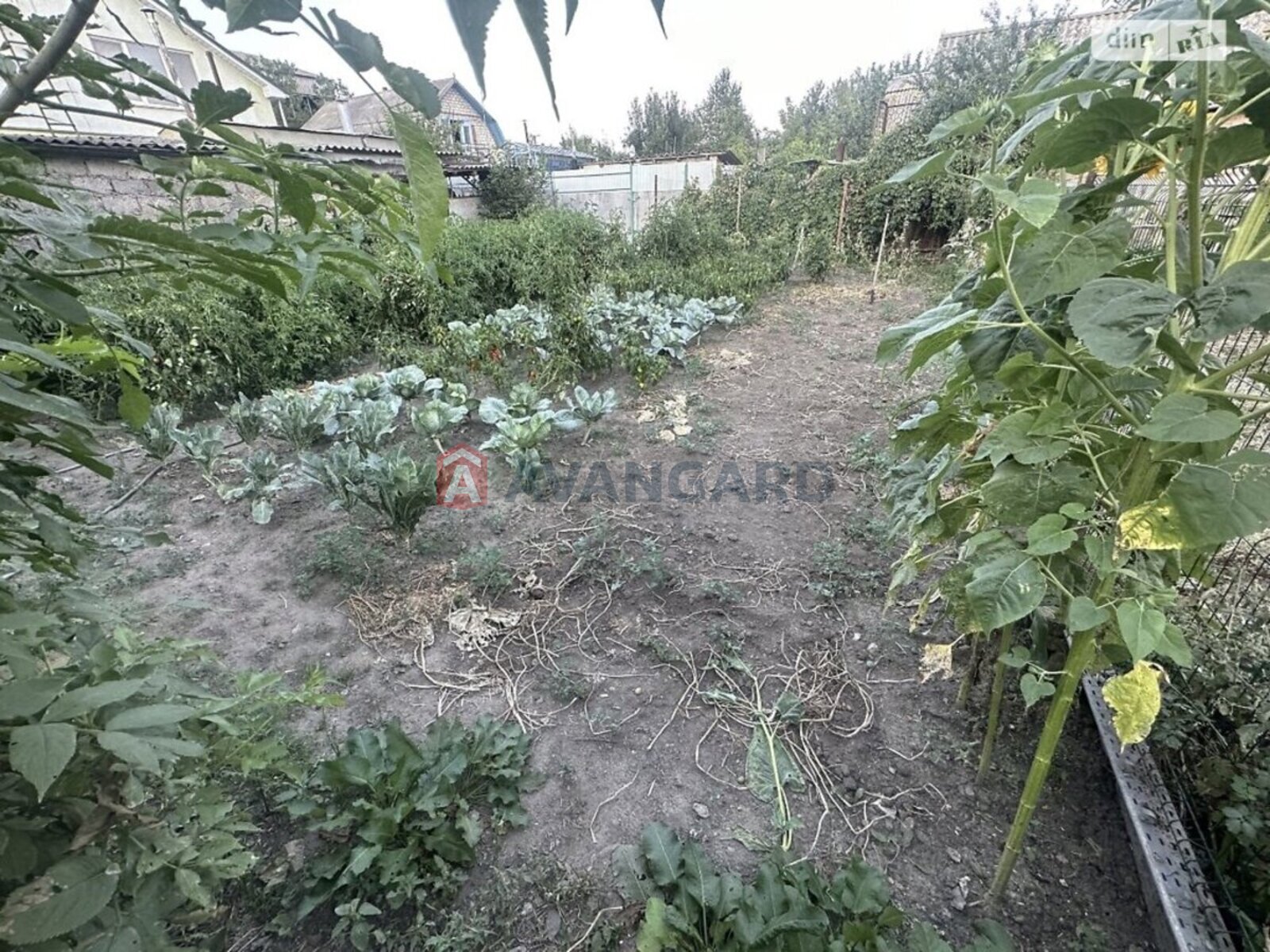 ��������� ������� ���� 8