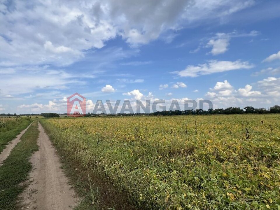 ��������� ������� ���� 6