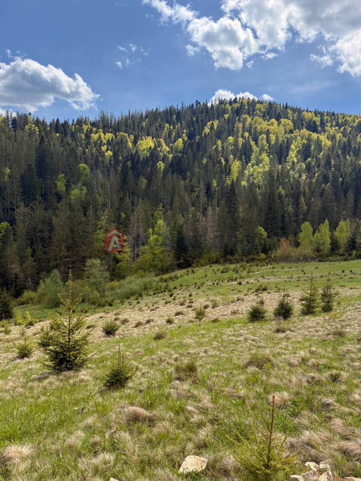 �������� ������ ���� 4