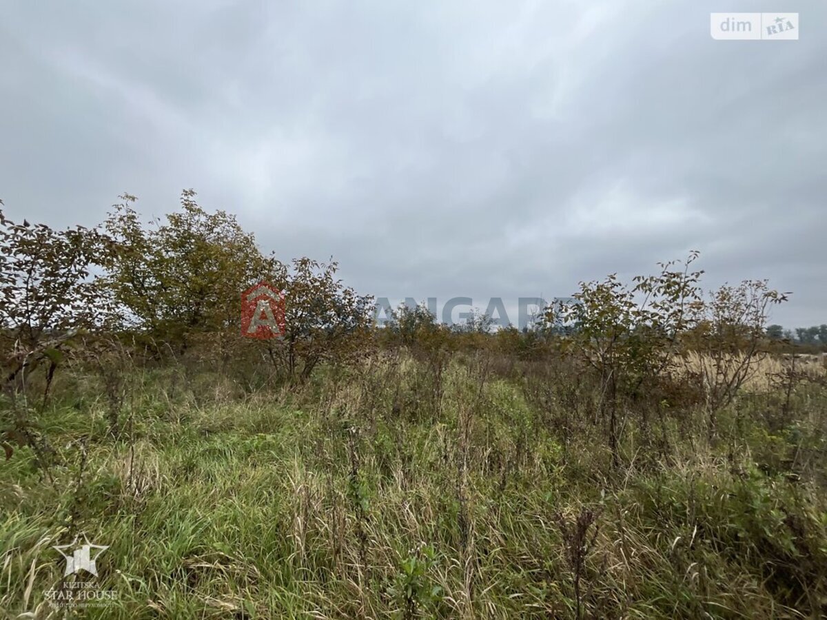 �������� ������ ���� 6