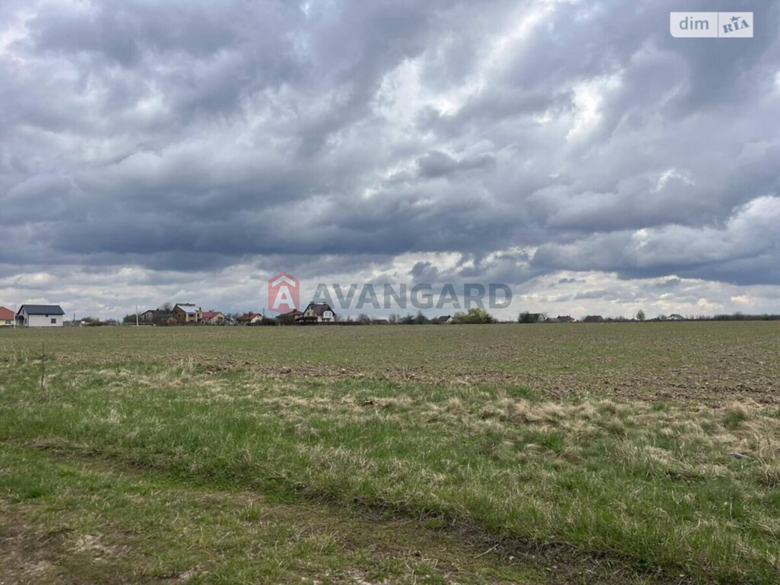 �������� ������ ���� 5