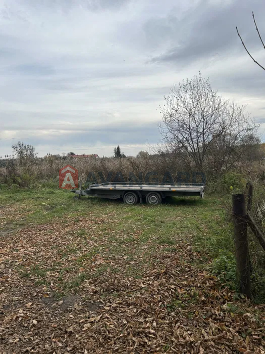 �������� ������ ���� 5