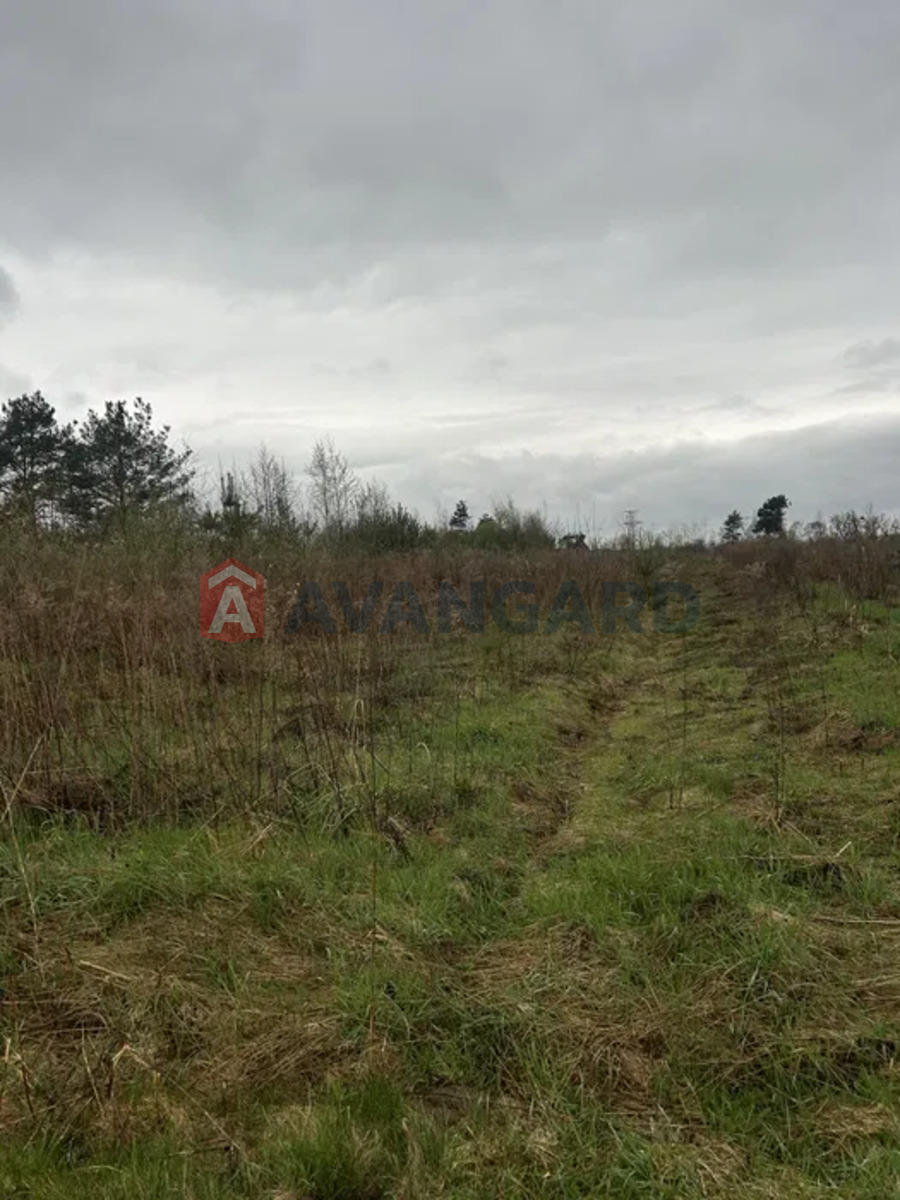 ��������� ������� ���� 8