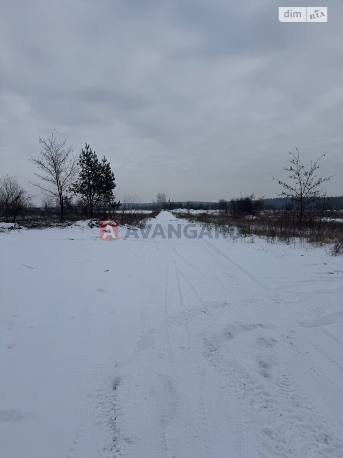 �������� ������ ���� 3