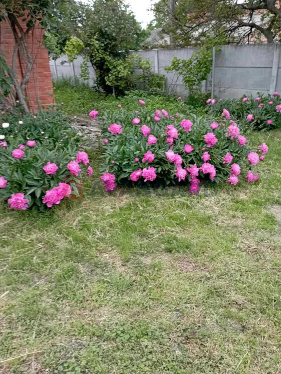 ��������� ������� ���� 1