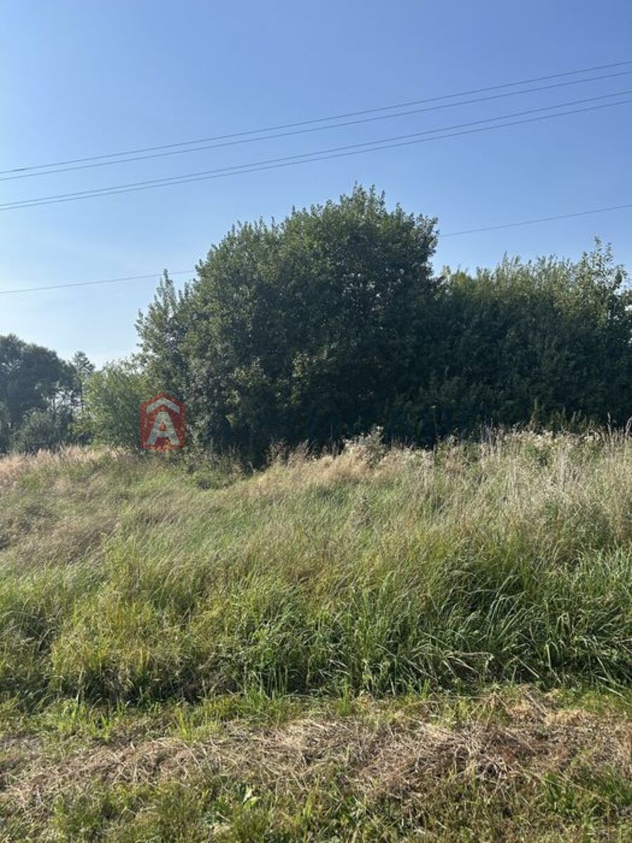 �������� ������ ���� 7