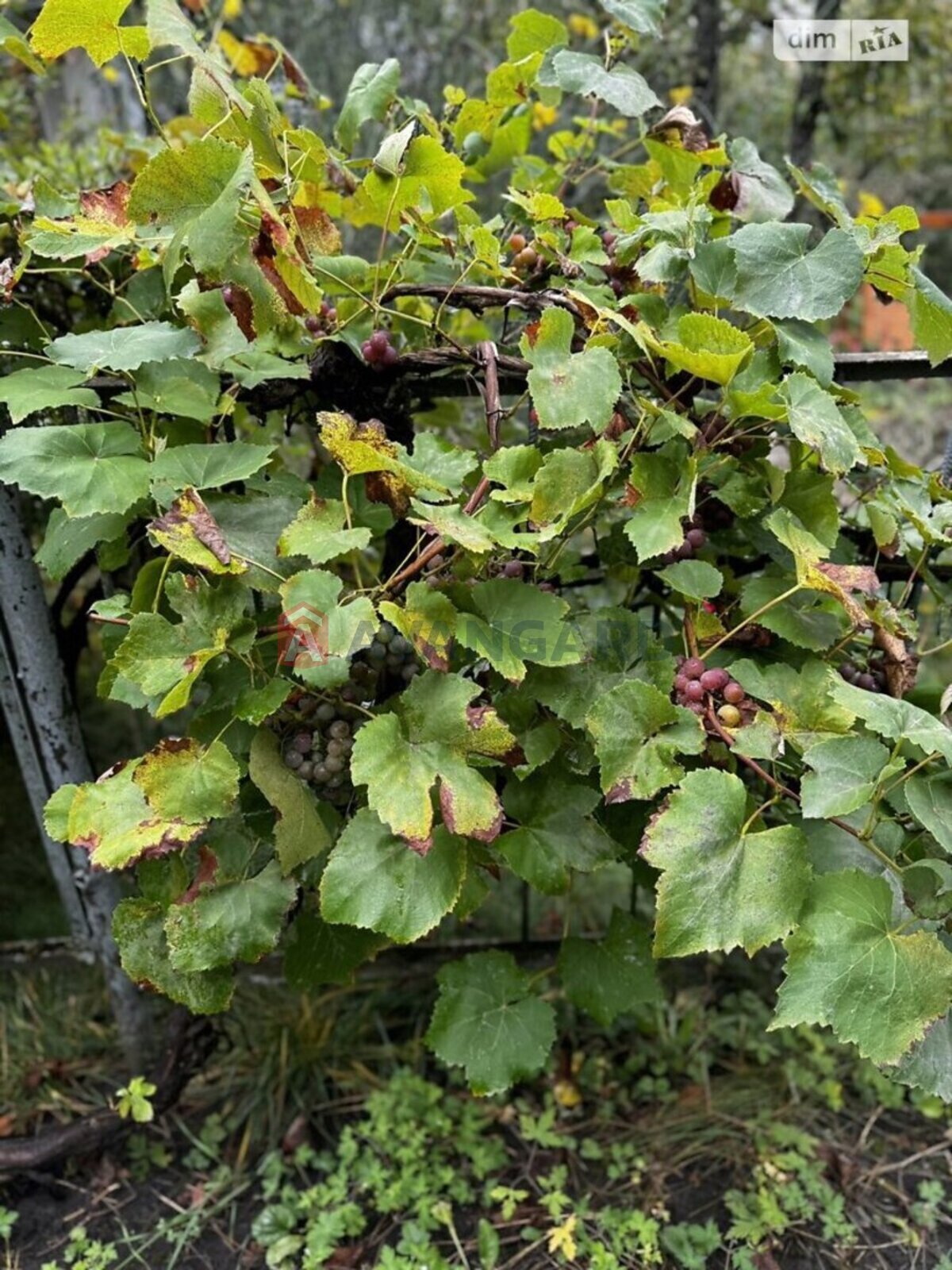 �������� ������ ���� 9