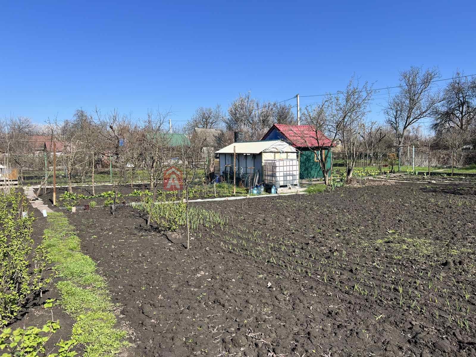 �������� ������ ���� 5