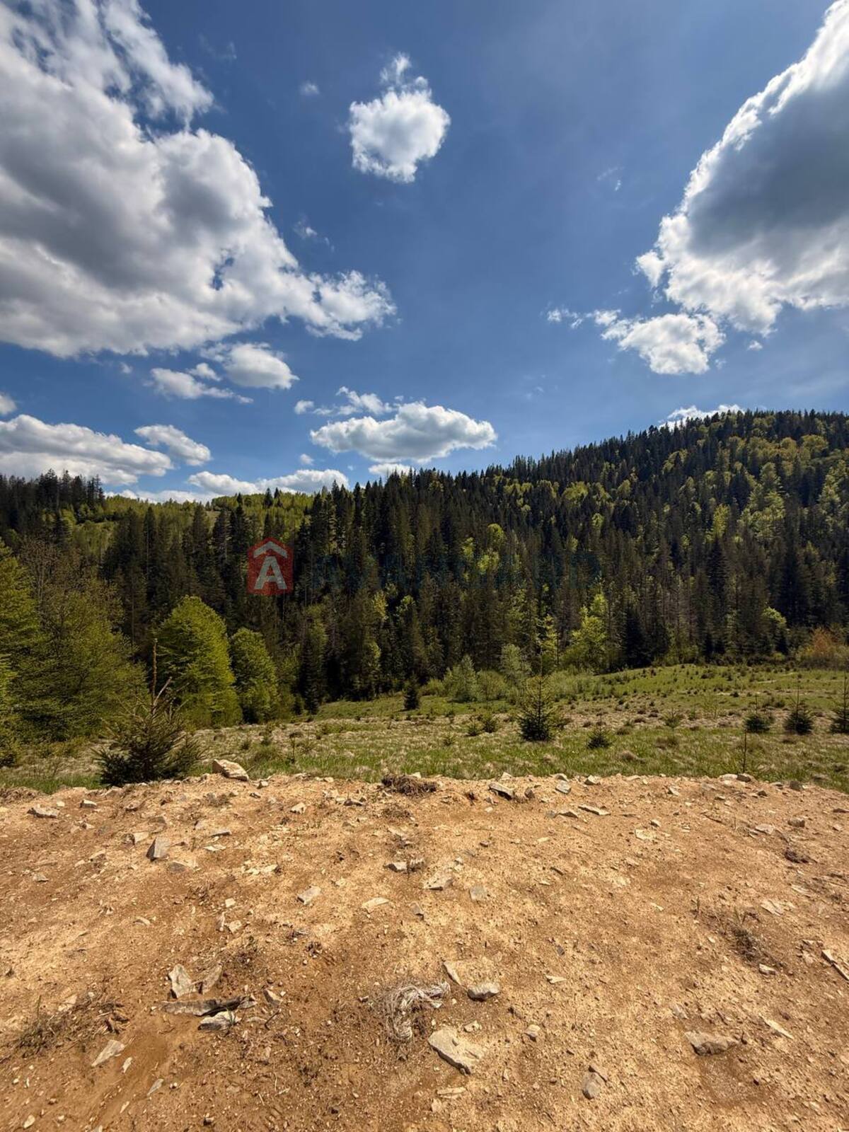 �������� ������ ���� 5