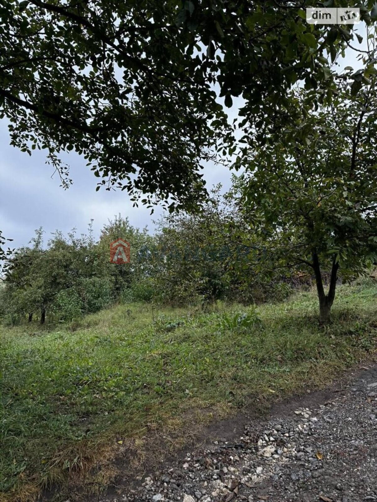 �������� ������ ���� 1