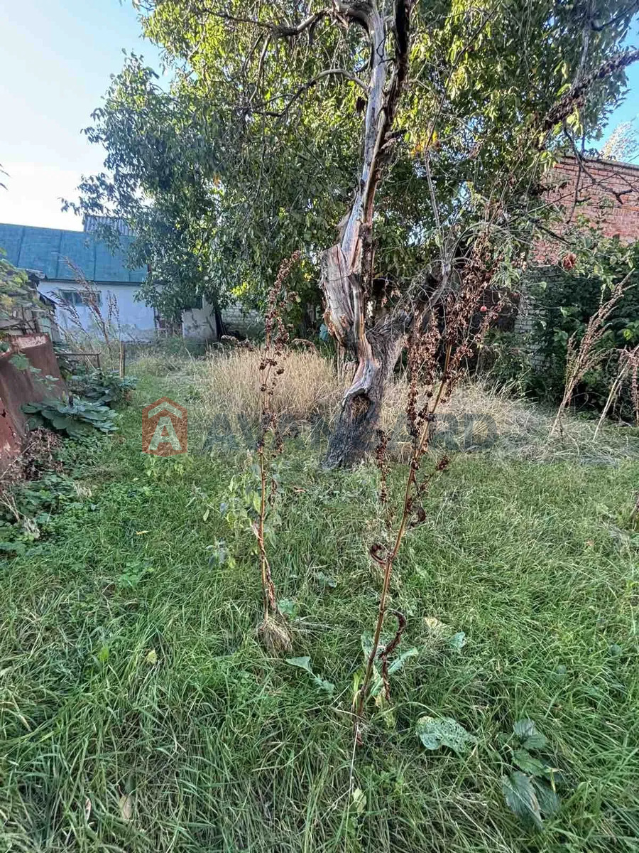 �������� ������ ���� 4