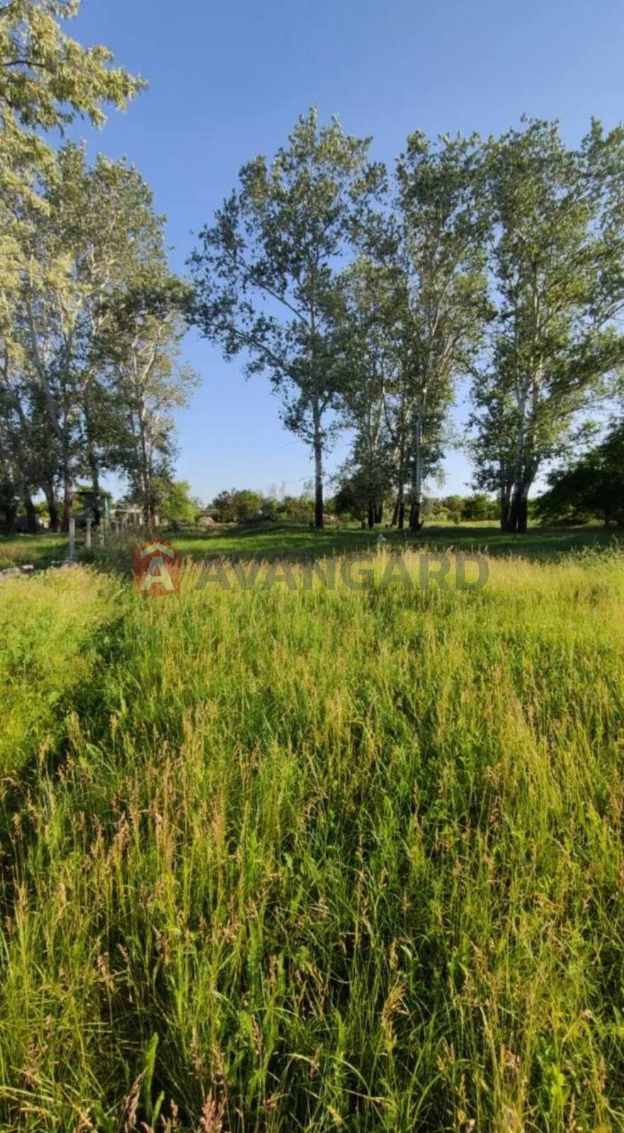 �������� ������ ���� 2